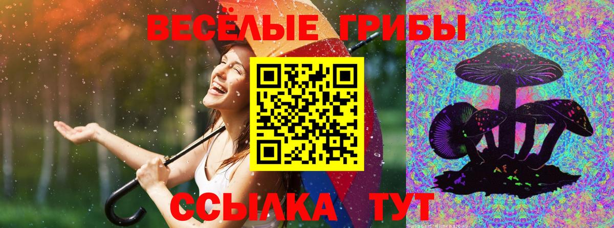 Артёмовский  Псилоцибиновые грибы Magic Shrooms  Вход с VPN 