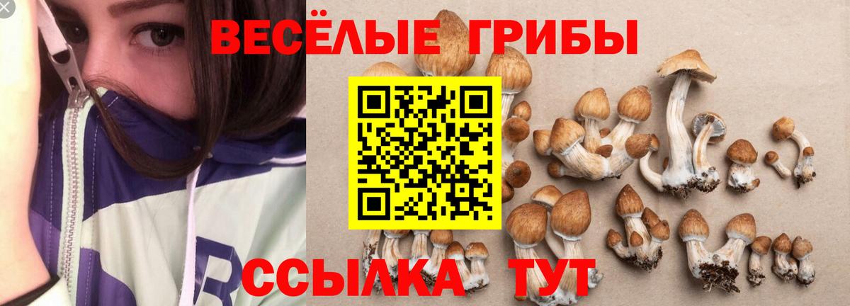 Галлюциногенные грибы мухоморы Артёмовский